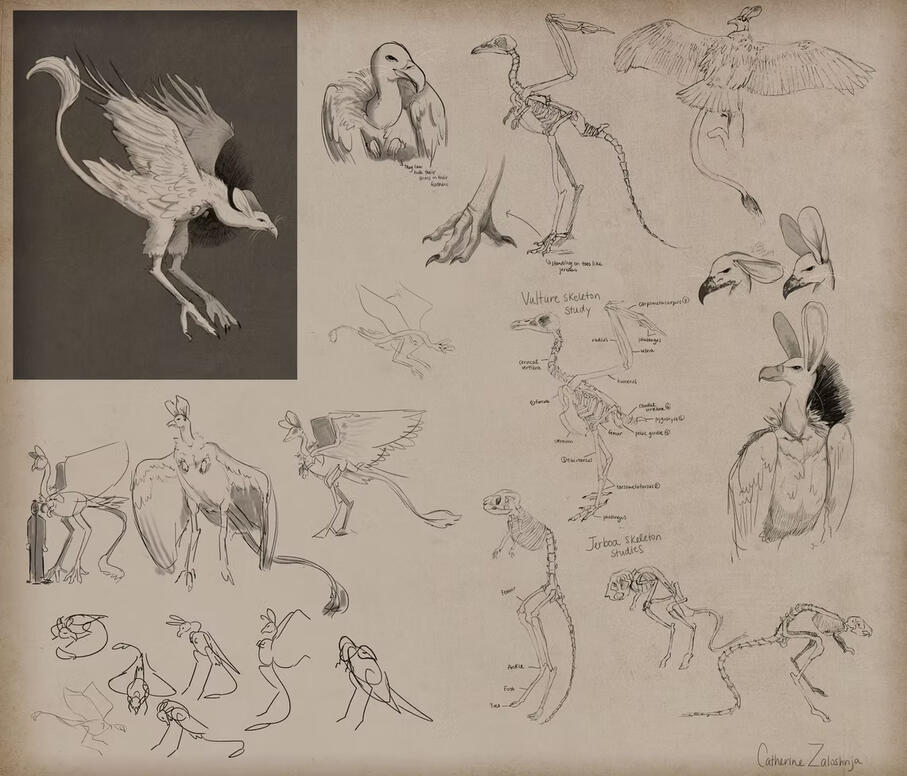 Vulture and Jerboa fusion drawings and studies, 2019, Photoshop